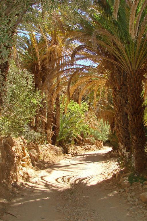 Tizourgane Kasbah Hotel Tiguissas Kültér fotó